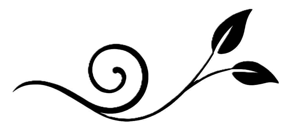 Volute noire végétale, confiance en soi.