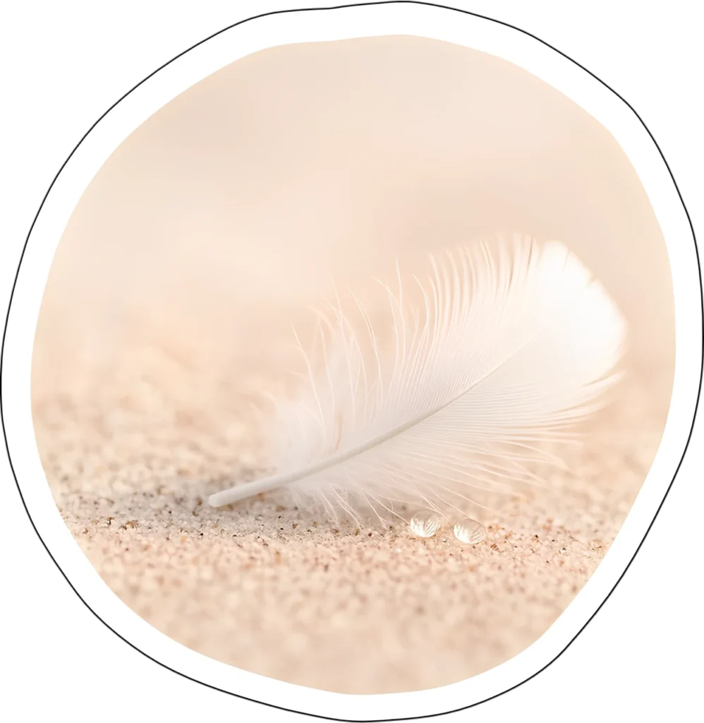 Plume posée sur le sable. Symbole de la méthode APAISÉ comme espace de respiration, d’équilibre, et de soin de soi.